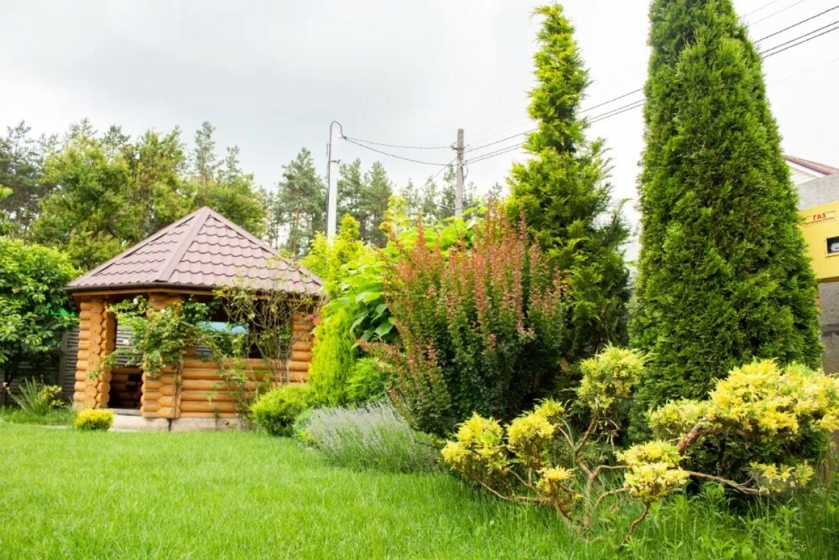 https://kostroma.tgv-stroy.ru/storage/app/uploads/public/637/ef4/fb3/637ef4fb3605f391429275.png
